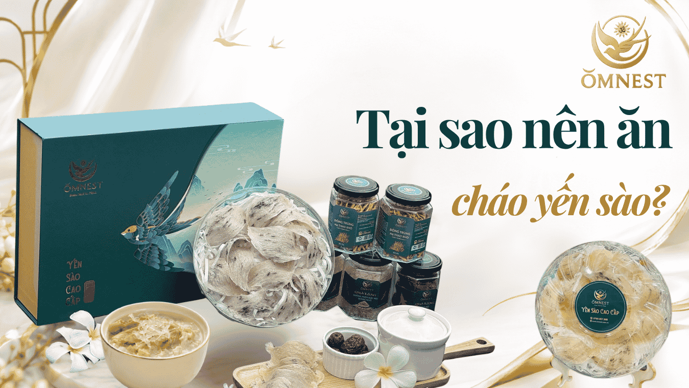 tai-sao-nen-an-chao-yen-sao
