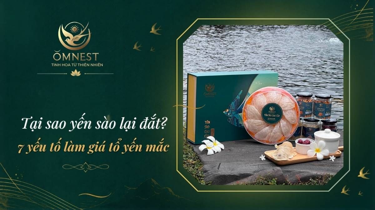 Tại sao yến sào lại đắt