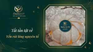 Yến rút lông nguyên tổ là gì