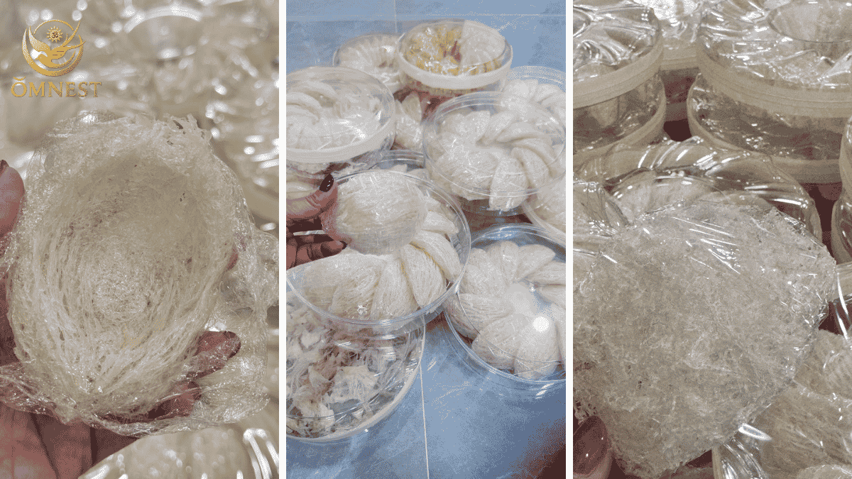 yến rút lông nguyên tổ là gì