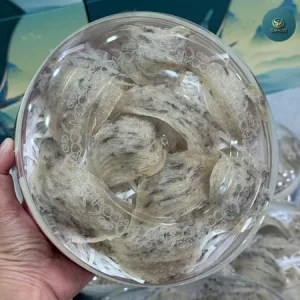 Yến thô già AB - yến Bình Phước 13 yen tho gia 7