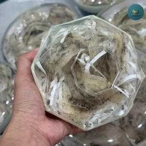 Yến thô già AB - yến Bình Phước 15 yen tho gia 8